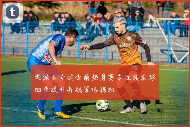 樊振东全运会前热身赛专注接发球细节提升备战策略揭秘
