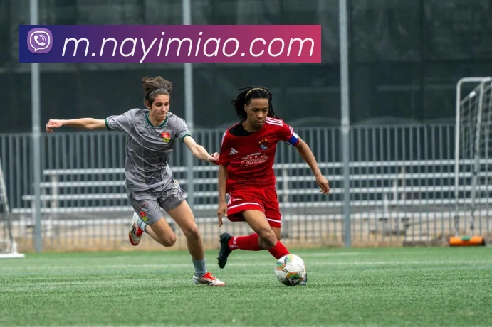 mksports官方网站服务体系