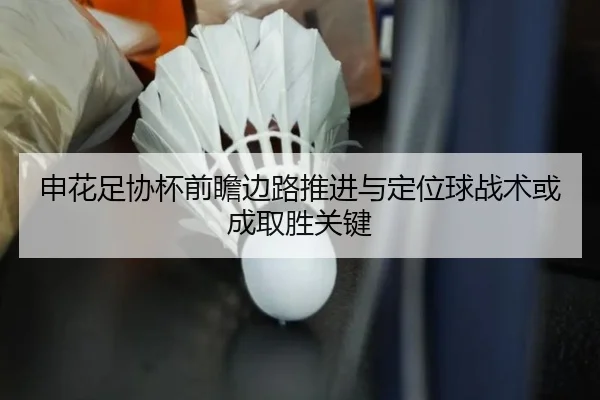 申花足协杯前瞻边路推进与定位球战术或成取胜关键