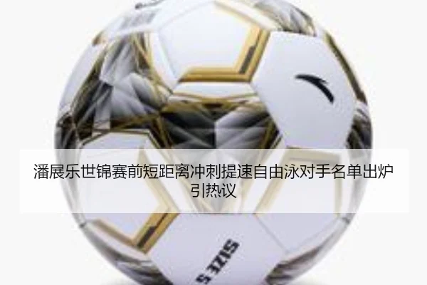潘展乐世锦赛前短距离冲刺提速自由泳对手名单出炉引热议
